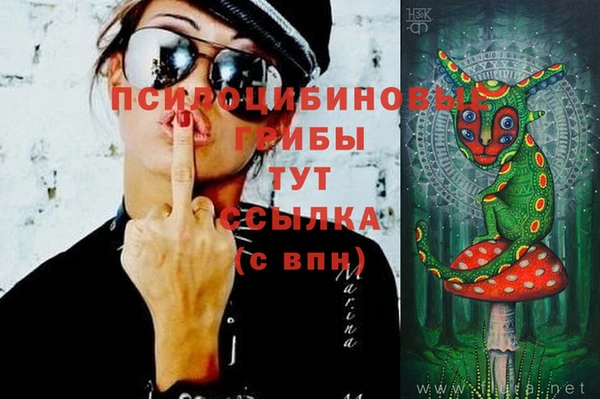 таблы Карпинск